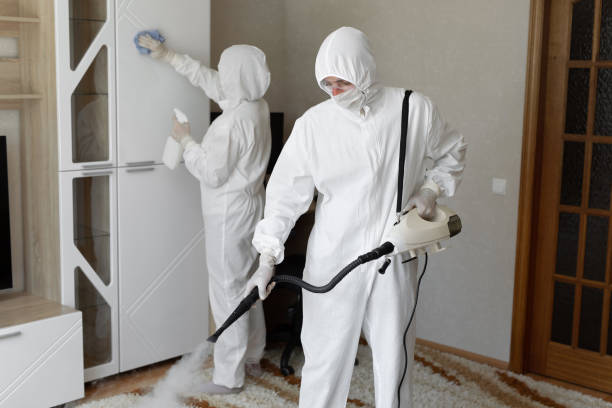 Best Mold Cleaning Services  in USA